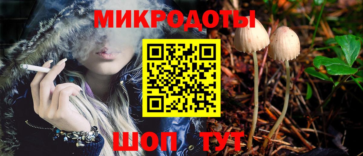 Ачхой-Мартан  Псилоцибиновые грибы мухоморы  Вход с VPN 