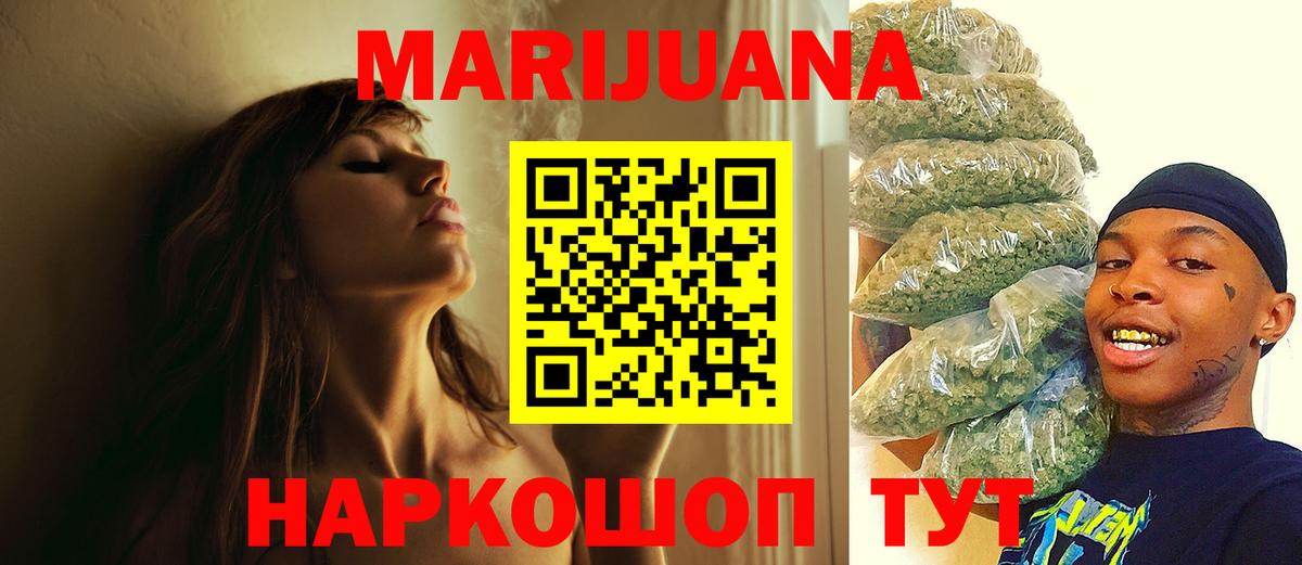 Конопля гибрид Ачхой-Мартан
